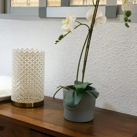 Cerca Al Puerto Shared 게스트하우스 *